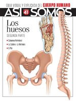 Así Somos - El cuerpo humano